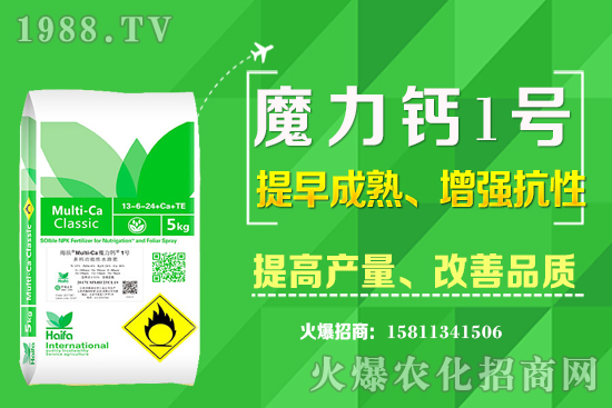 ʮ����Ѯ�m�ϷNֲʲô��ˎ������Щ��ˎ��ٍ�X����ߣ�