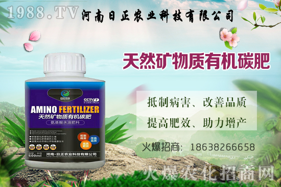 ���@������ѕr�g�ǺΕr���Д���(bi��o)��(zh��n)��ʲô�����@����ע����헣�