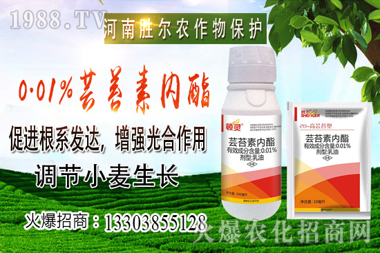 С���r(ji��)���ϝq��(ji��)����u�d�������п�����10��22��С���r(ji��)������