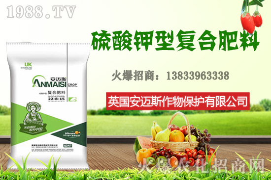 今日花生價格多少錢一斤?10月24日花生價格行情