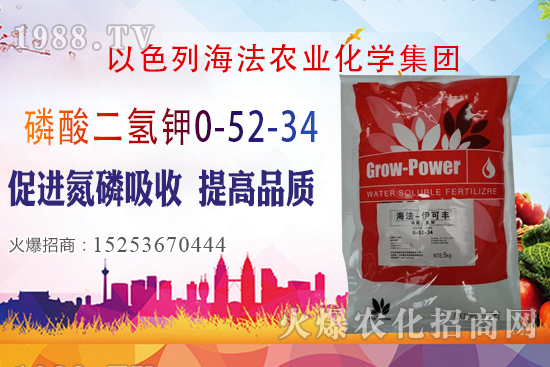 2020��10��28�����؃r(ji��)��(w��n)�����������؃r(ji��)�����(b��o)��