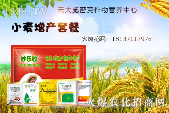 С�����N�󲻳�������ʲôԭ����ɵ���