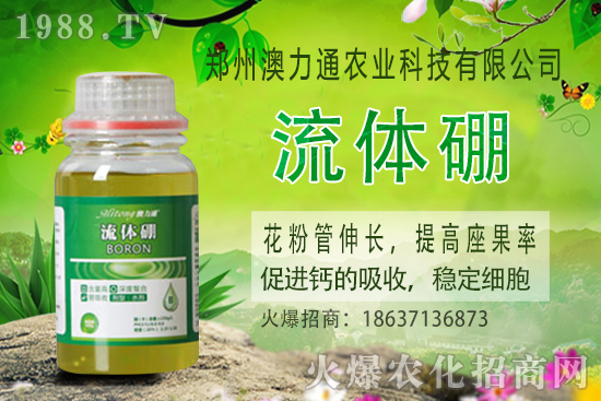 ⛷ʃr(ji��)����m(x��)���q��2020-10-30��(gu��)��(n��i)⛷ʃr(ji��)���(b��o)�r(ji��)һ�[