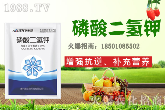 ����ʩ�D�ʺ�̎����Щ����Щ����Ҫʩ���D��ԓ��ôʩ��