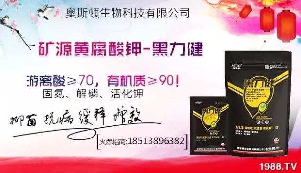 ����ʲô�r�g���N��ע�����(xi��ng)����Щ�����ش���Nֲ�r�g����