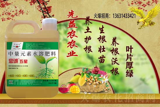 花生價(jià)格還能繼續(xù)上漲么?2020-11-10部分區(qū)域花生價(jià)格詳情