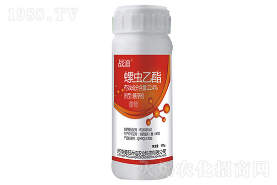 ���x�������x��