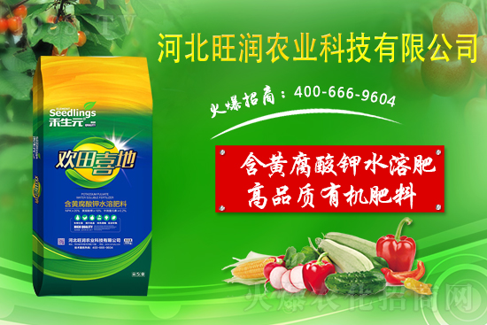 ���@����Ĥ��ô�Ч���������@䁷���Ĥ��Ҫ�c(di��n)��