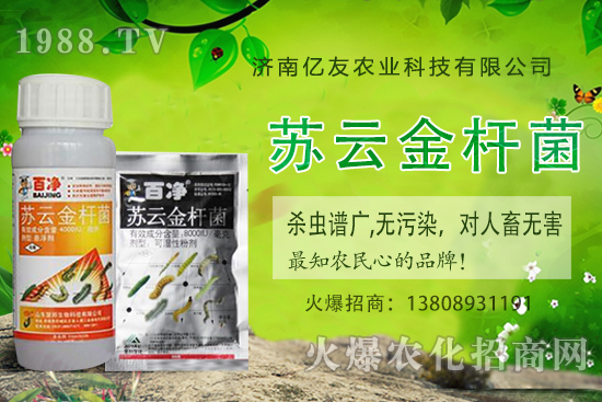 �S�ҷNֲ��(y��ng)ԓע����Щ���(xi��ng)���S�ҷNֲ�r(sh��)�g�����g������