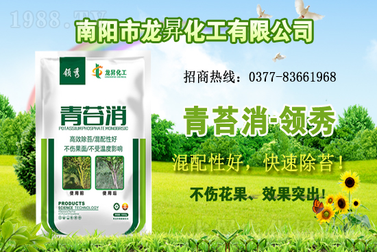 �󶹹�����(y��ng)�����r(ji��)����m(x��)�ϝq�����ش󶹃r(ji��)������