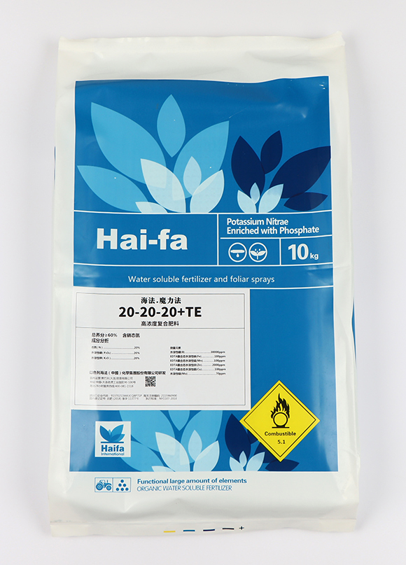 �ߝ�s��(f��)�Ϸ���20-20-20+TE1