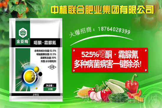 11月19日國(guó)內(nèi)部分產(chǎn)區(qū)花生價(jià)格