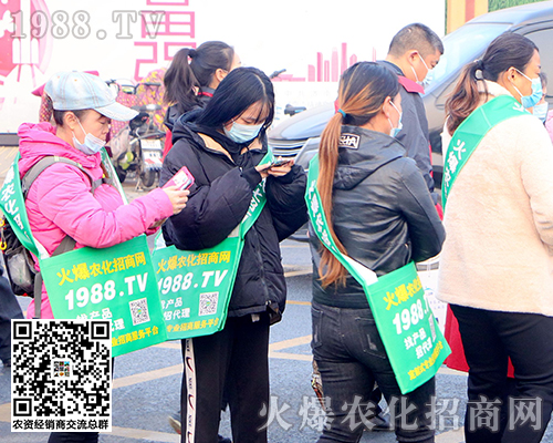 �ڶ�ʮ�ߌ�ɽ�|ֲ���p����(hu��)