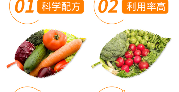 傻魚(yú)魚(yú)頭鈣-傻魚(yú)魚(yú)肥-倍豐_06