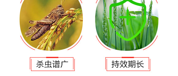 ��(li��n)�ټ׽M���b-��(li��n)_06