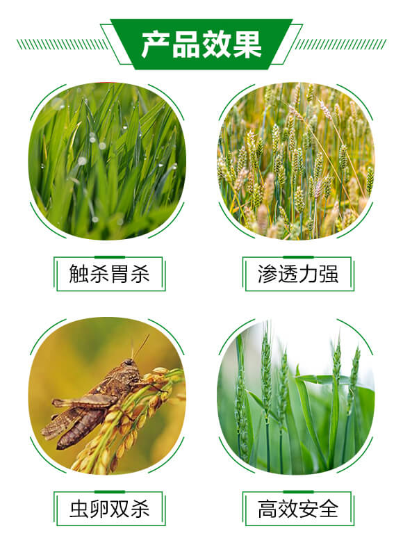 6%(li��n)�ա���x(ch��ng)��-���r(n��ng)_03