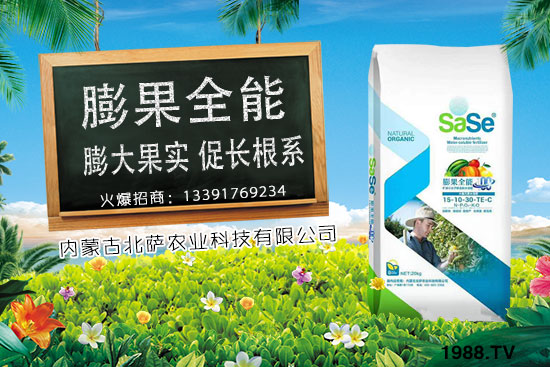 菜椒要怎么種植?菜椒生長條件及種植技術!