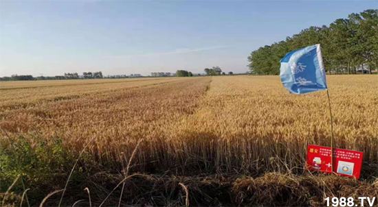 С����ù��Σ�����c������С����ù����ʲôˎ��