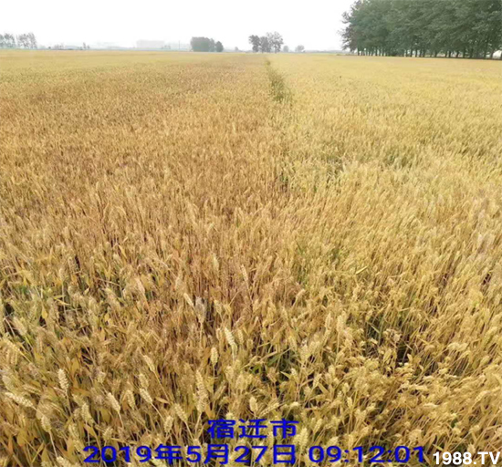 С����ù��Σ�����c������С����ù����ʲôˎ��