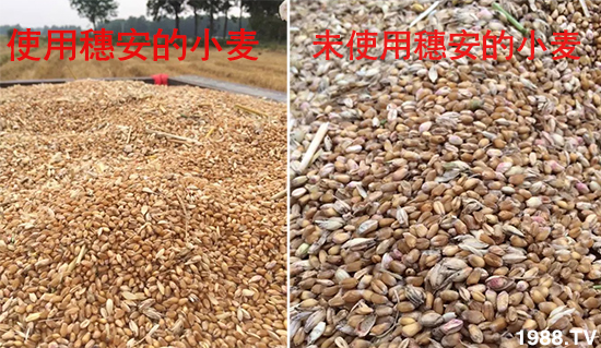 С����ù��Σ�����c������С����ù����ʲôˎ��