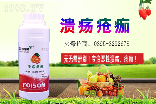 2021��ʯ��Nֲ���������ʯ�������(r��n)ǰ����ô����