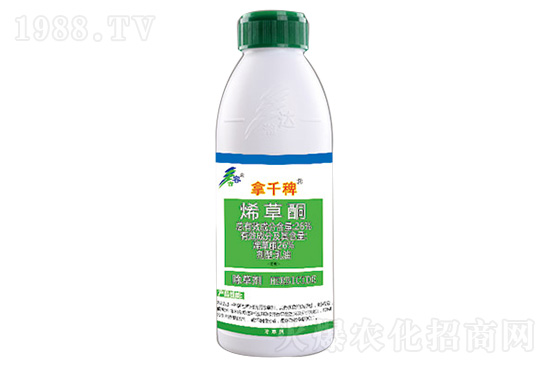 �������ײݰ����݄��r��11.27