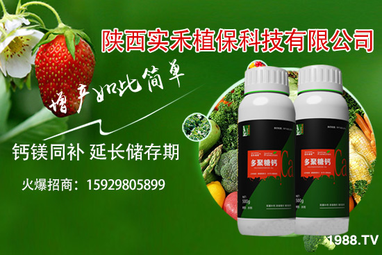 ���t�����~��ʲôԭ�������t�����~���δ�ʩ����Щ��