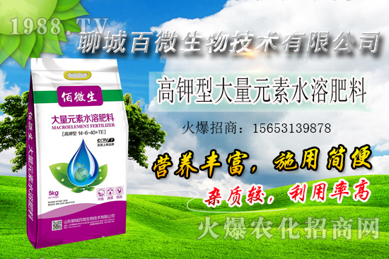 �׌�ֲ�����Ҫ������Щ���׷���ʲô������ԓ��������