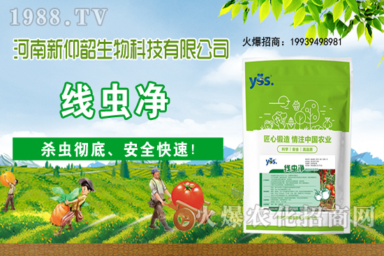 ����ֲ��ԓ��ô��ˮ������ֲ�ˮҪע����Щ���}����