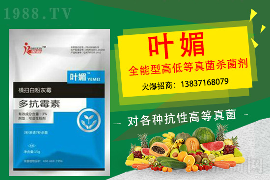 ����������(y��n)��̫�y�p������p�ɽ�Q��