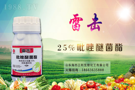 ħ��r(ji��)������X(qi��n)һ����2021��ħ��Nֲǰ�������