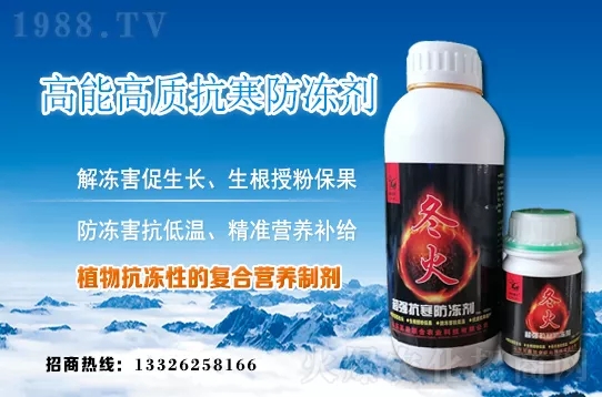 �紺�²����ʩ�����²�ʩ�ʷ�����ע�������