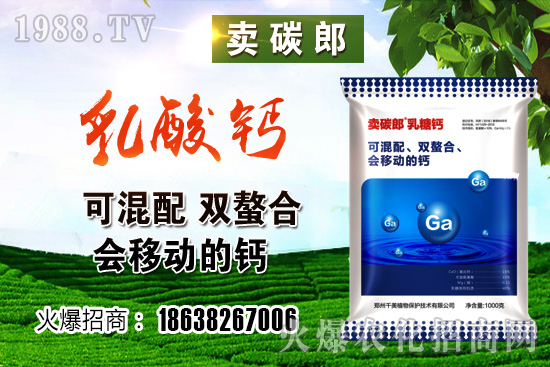 ���������^����С���r(ji��)�����w��λڅ��(w��n)��