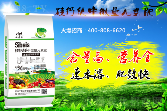 ���}�VԪ�ط����˽��������̎����Щ��