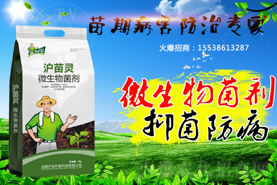 �������ڲ����������������������A�����������ˆ���