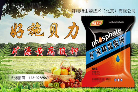 �󽪶����Xһ�����󽪷Nֲǰ������������Nֲ���g(sh��)��