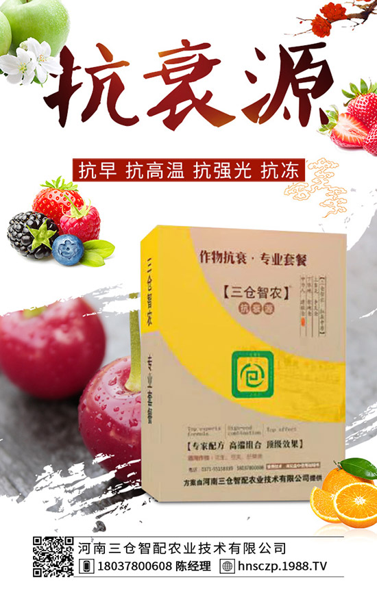 ���·��m�ϷNֲʲô�߲ˣ����·��߲˷Nֲע�������