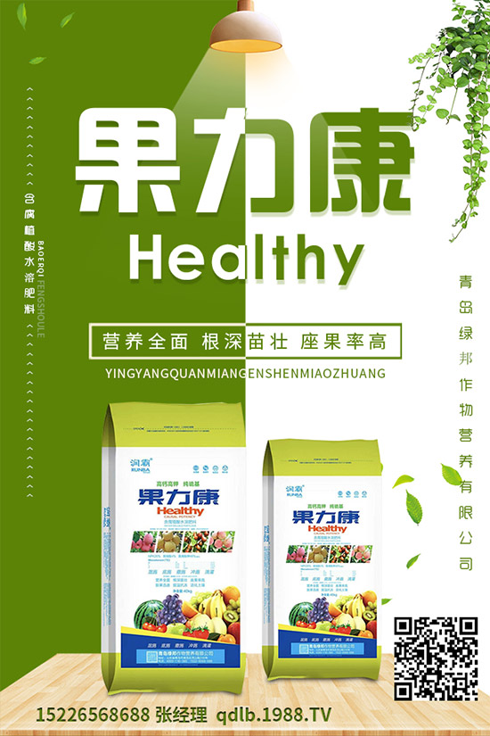 �����ĸ������g�Y���������ĸ����İl(f��)��Ҏ(gu��)�ɼ�������