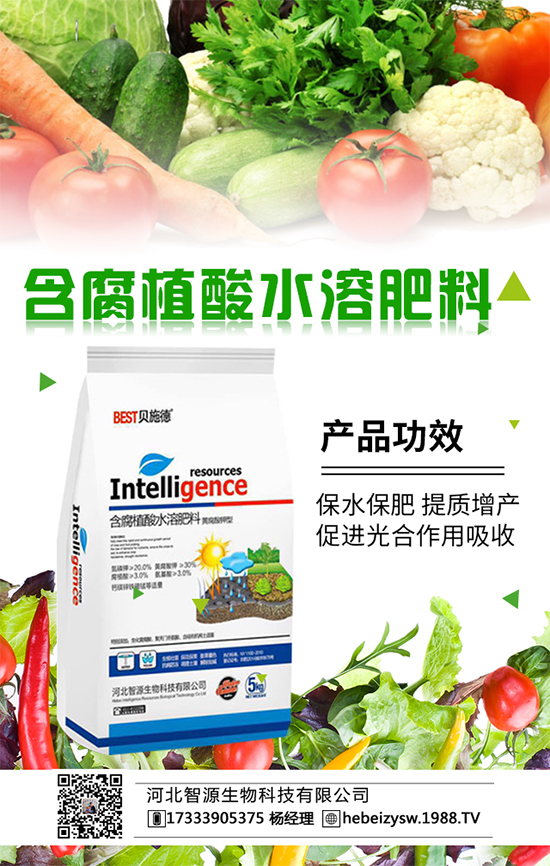 春季種植番茄施什么肥好呢?