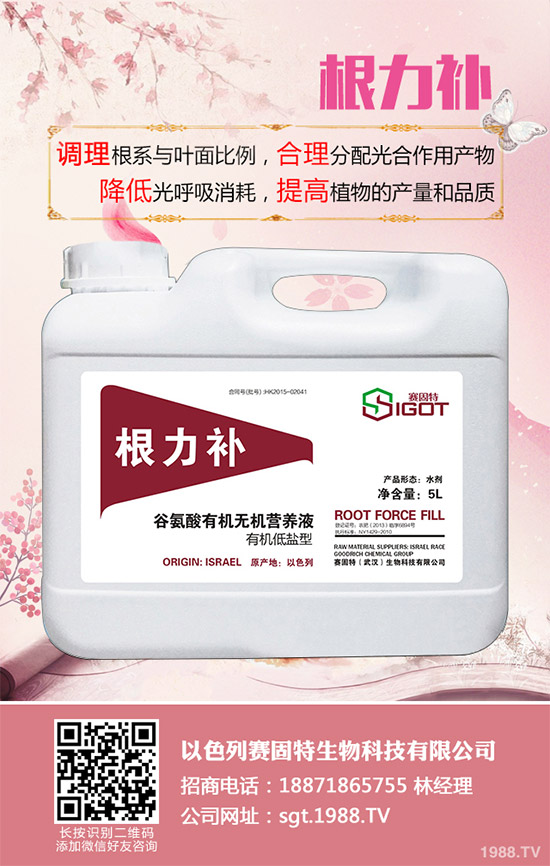 С��������Ҋ�Ĳ�������Щ��ԓ��η��Σ�����С���������η�����B