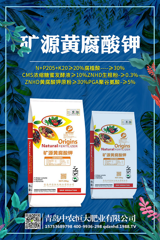 �紺���˷Nֲ���g(sh��)����Щ�����g����Ҫע��ʲô��