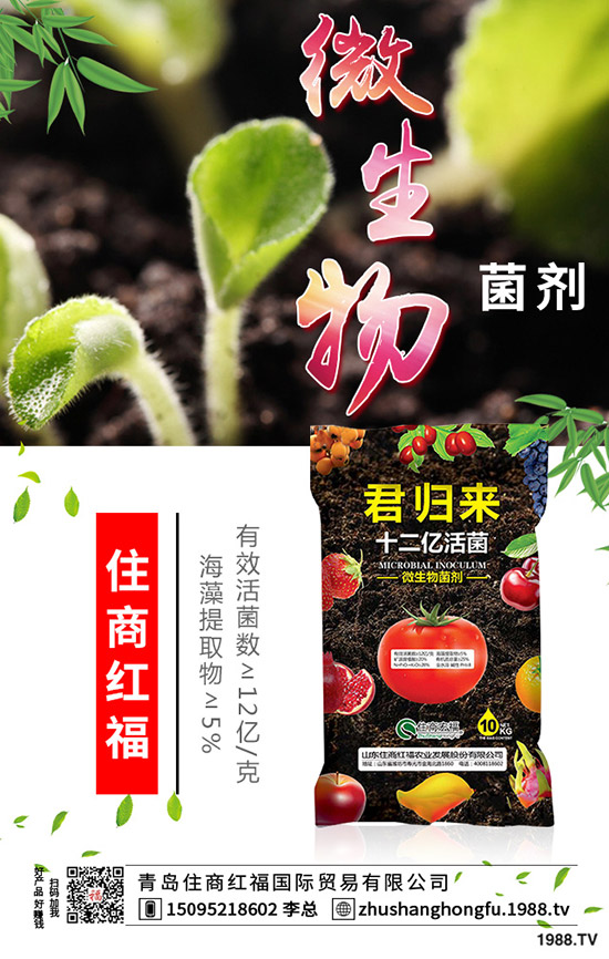 番茄肥害的典型癥狀有哪些，番茄發(fā)生肥害怎么辦？