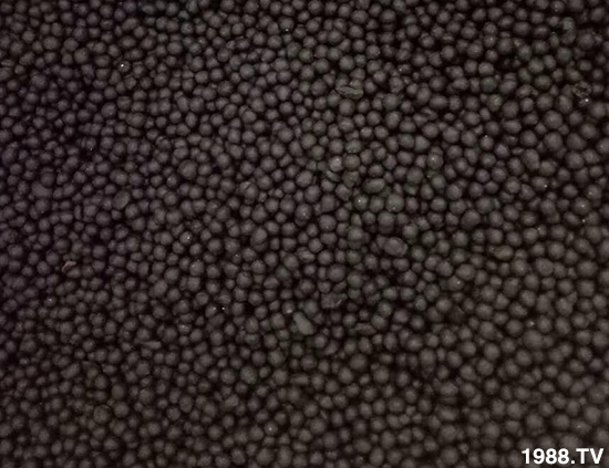 復(fù)合微生物菌劑(藍)-地康欣