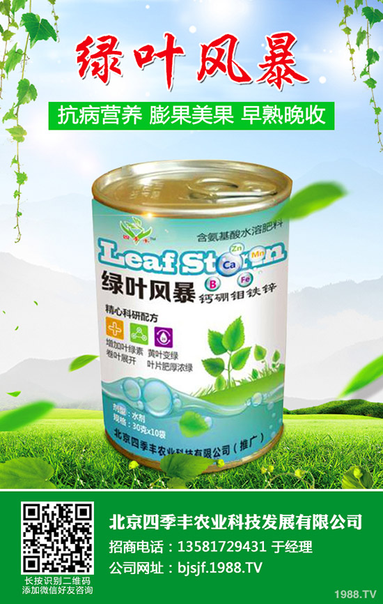 �����׷۲�����y�����������׷۲��l(f��)��ԭ�򼰷��Σ�