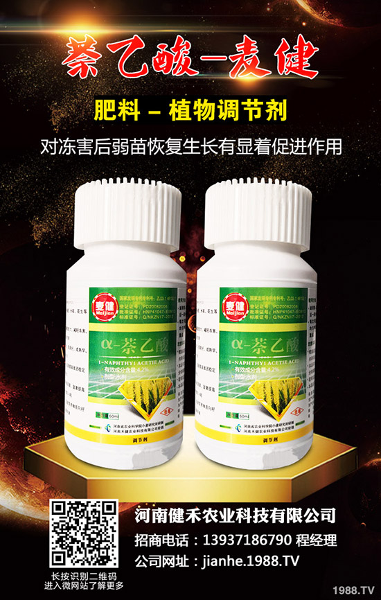 辣椒溫室白粉虱蟲(chóng)害嚴(yán)重怎么辦,辣椒溫室白粉虱的發(fā)生與防治!