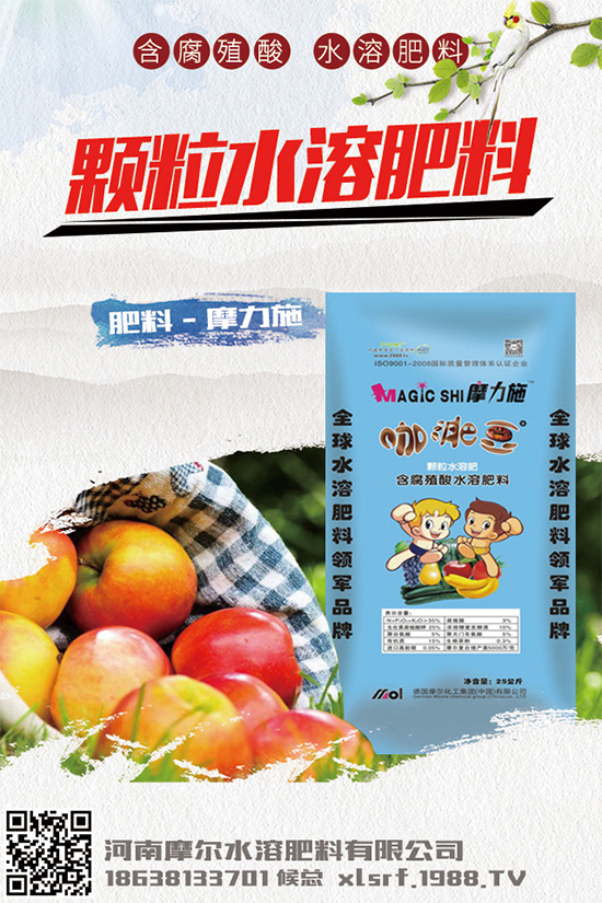 �Nֲ���g(sh��)���X����2020���g(sh��)�Nֲǰ����Ч�����