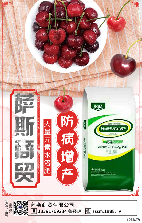 ������ԓ��ηNֲ���紺���׸߮a(ch��n)�Nֲ���g(sh��)Ҫ�c(di��n)