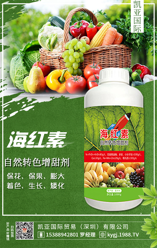 �����}��ʲô�r�g�Nֲ�������}���Nֲ������