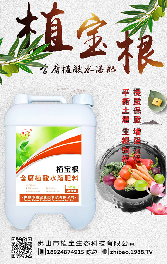 �紺���������Jʲô�r(sh��)�g�N�������J��ֲ�����Ҫ�c(di��n)��