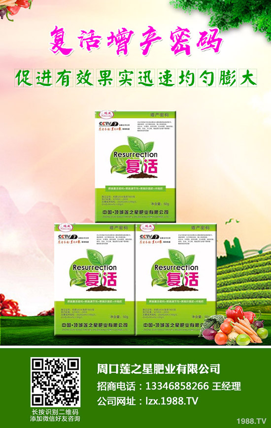 �n�����ʩ�����n����ʲô���Ϻ���